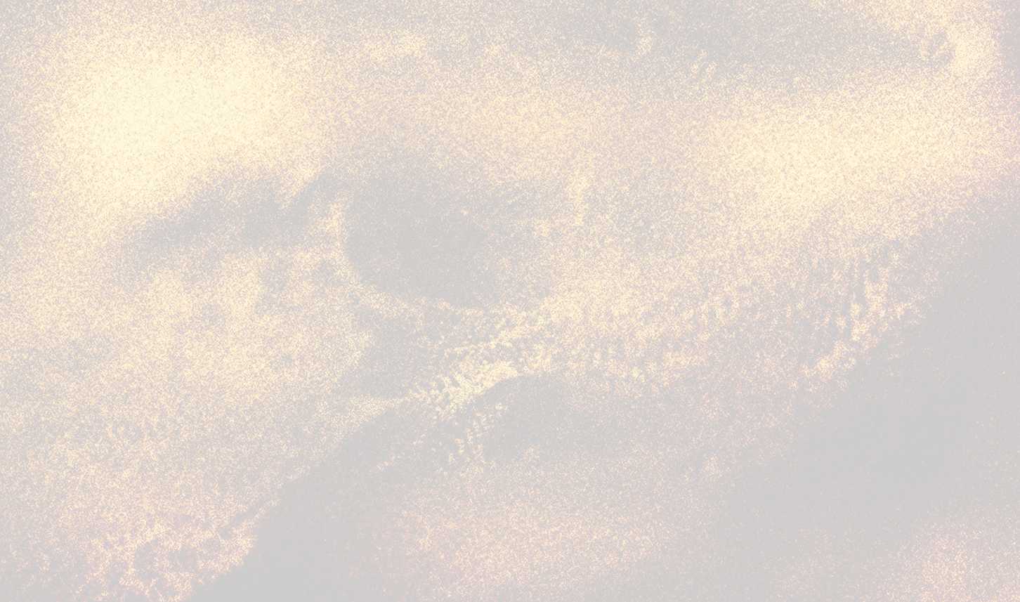 Partnerships background